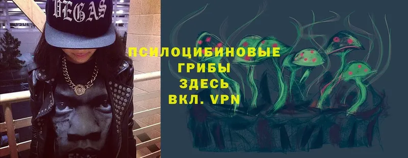 Галлюциногенные грибы Psilocybe  Рыбинск 